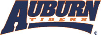 Auburn Tigers 1998-2003 Wordmark Logo v2 diy iron on heat transfer